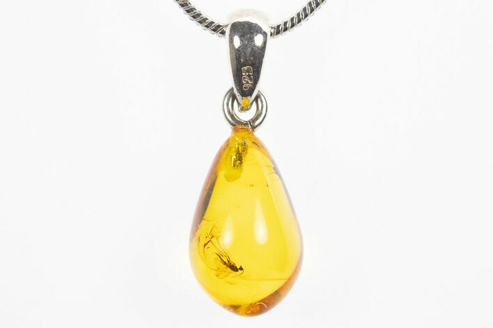 Polished Baltic Amber Pendant (Necklace) - Contains Two Flies! #307909